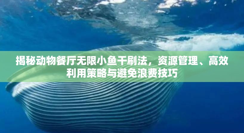 揭秘动物餐厅无限小鱼干刷法，资源管理、高效利用策略与避免浪费技巧