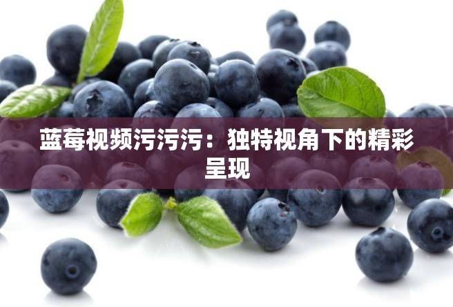 蓝莓视频污污污：独特视角下的精彩呈现