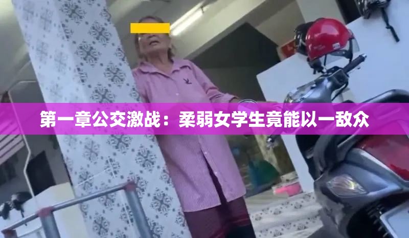 第一章公交激战：柔弱女学生竟能以一敌众