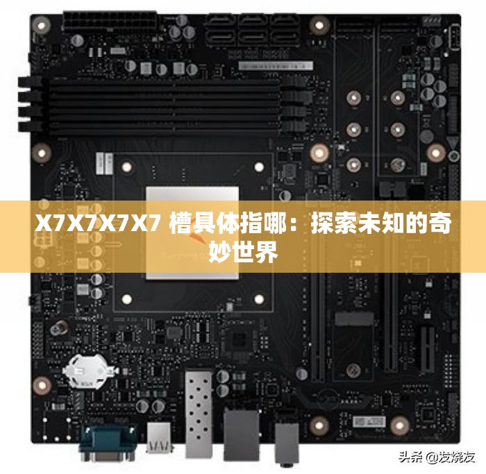 X7X7X7X7 槽具体指哪：探索未知的奇妙世界