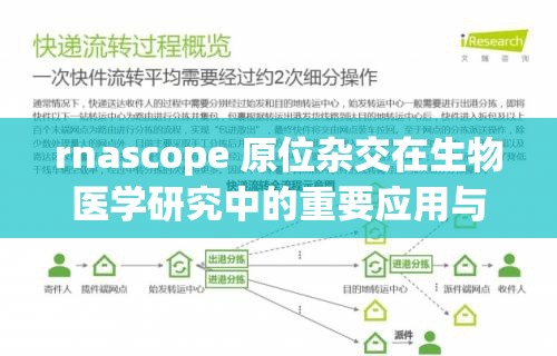 rnascope 原位杂交在生物医学研究中的重要应用与发展前景