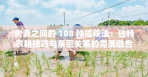 夫妻之间的 108 种插秧法：独特农耕技巧与亲密关系的完美融合