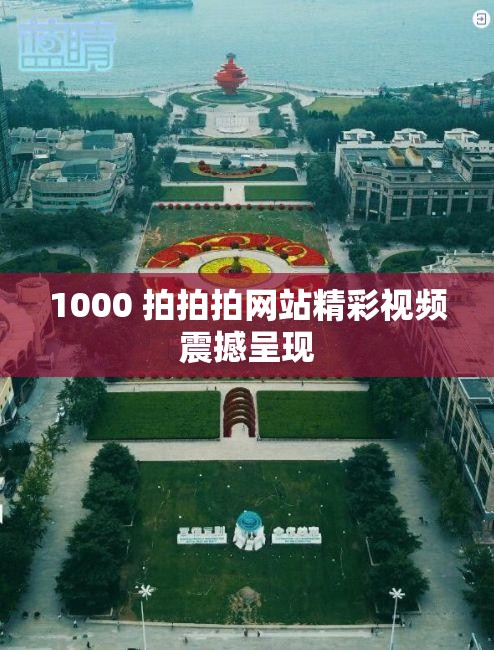 1000 拍拍拍网站精彩视频震撼呈现