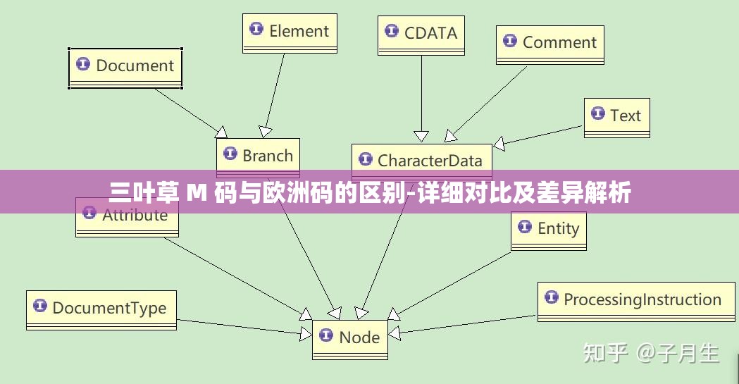 三叶草 M 码与欧洲码的区别-详细对比及差异解析