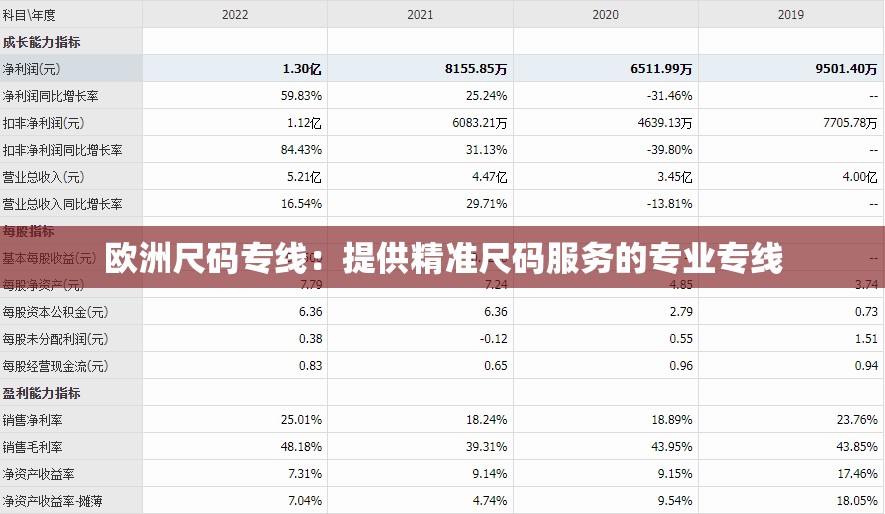 欧洲尺码专线：提供精准尺码服务的专业专线