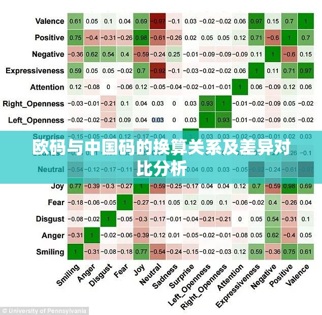 欧码与中国码的换算关系及差异对比分析