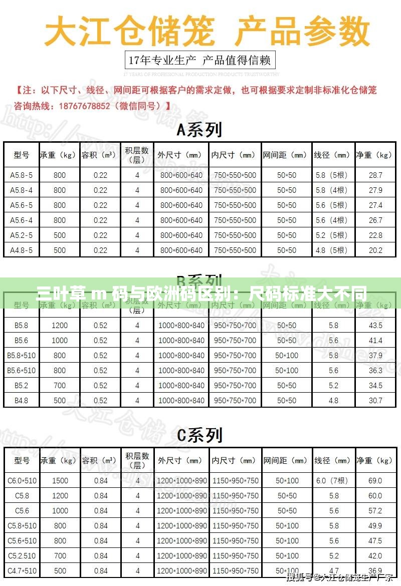 三叶草 m 码与欧洲码区别：尺码标准大不同