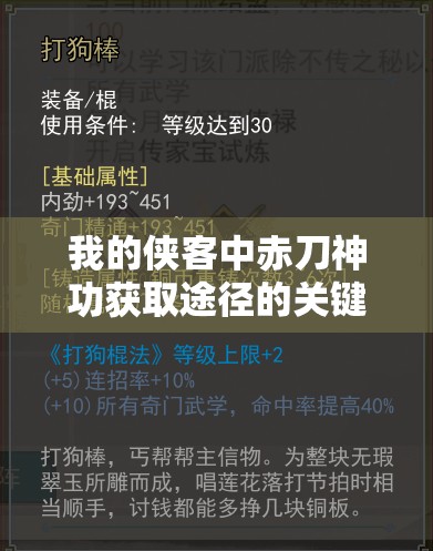 我的侠客中赤刀神功获取途径的关键性及其高效管理策略