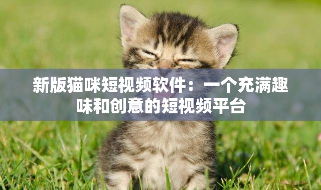 新版猫咪短视频软件：一个充满趣味和创意的短视频平台