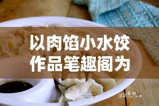 以肉馅小水饺作品笔趣阁为中心，分享美食制作的乐趣