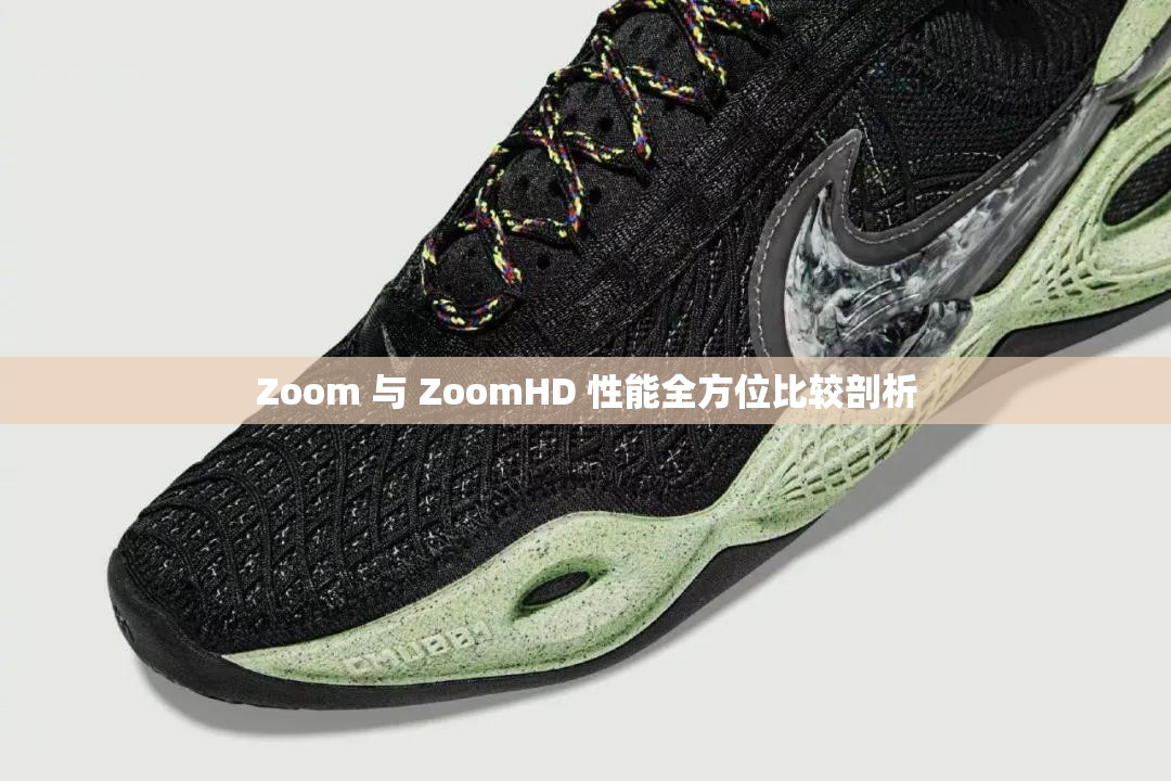 Zoom 与 ZoomHD 性能全方位比较剖析