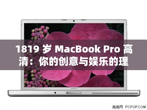 1819 岁 MacBook Pro 高清：你的创意与娱乐的理想伙伴