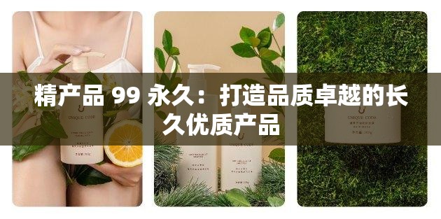 精产品 99 永久：打造品质卓越的长久优质产品