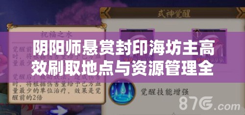 阴阳师悬赏封印海坊主高效刷取地点与资源管理全面攻略