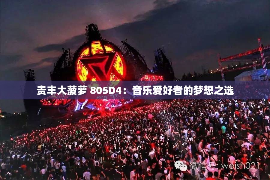 贵丰大菠萝 805D4：音乐爱好者的梦想之选