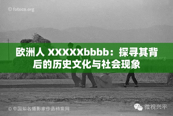 欧洲人 XXXXXbbbb：探寻其背后的历史文化与社会现象