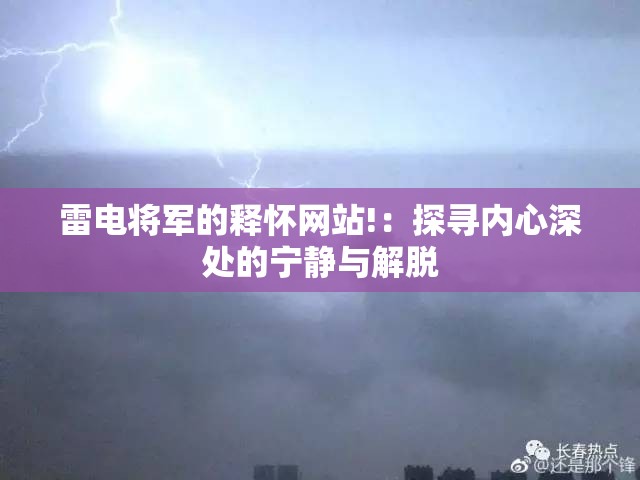 雷电将军的释怀网站!：探寻内心深处的宁静与解脱