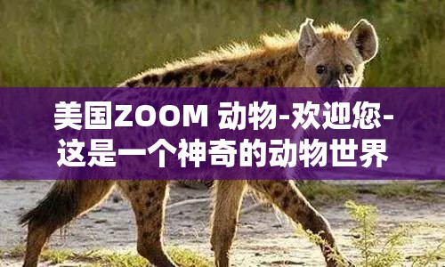 美国ZOOM 动物-欢迎您-这是一个神奇的动物世界等你来探索