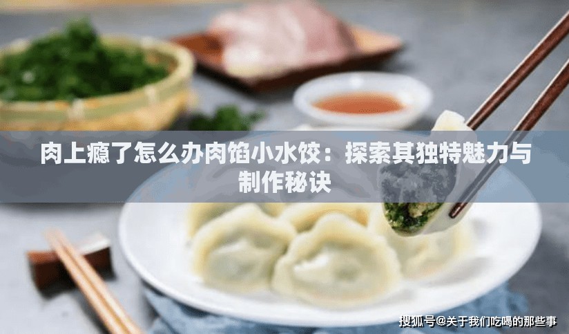 肉上瘾了怎么办肉馅小水饺：探索其独特魅力与制作秘诀