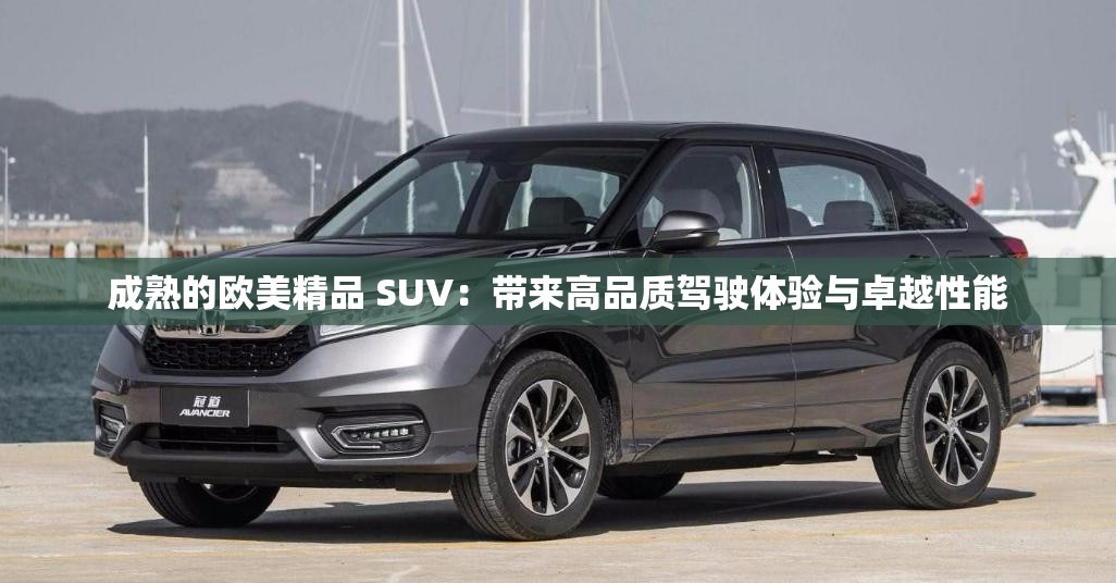 成熟的欧美精品 SUV：带来高品质驾驶体验与卓越性能