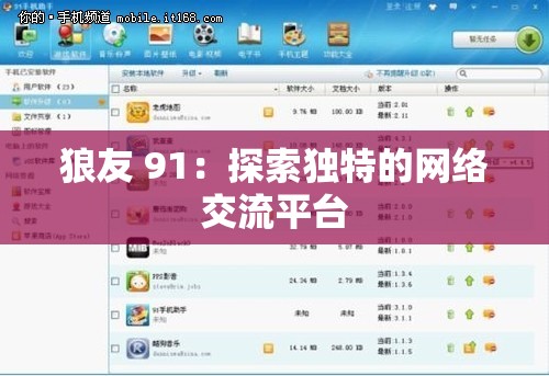 狼友 91：探索独特的网络交流平台