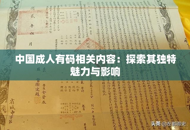 中国成人有码相关内容：探索其独特魅力与影响