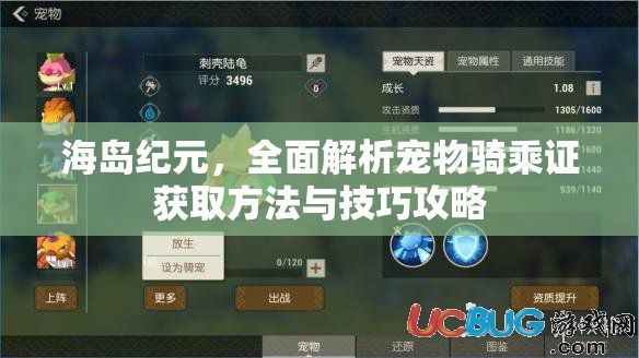 海岛纪元，全面解析宠物骑乘证获取方法与技巧攻略