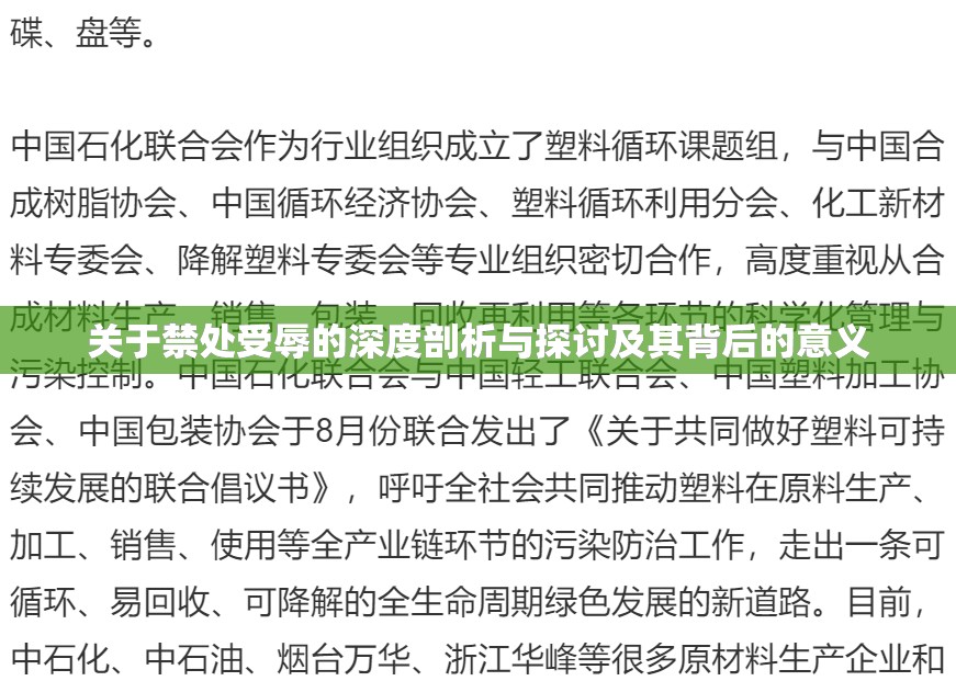 关于禁处受辱的深度剖析与探讨及其背后的意义