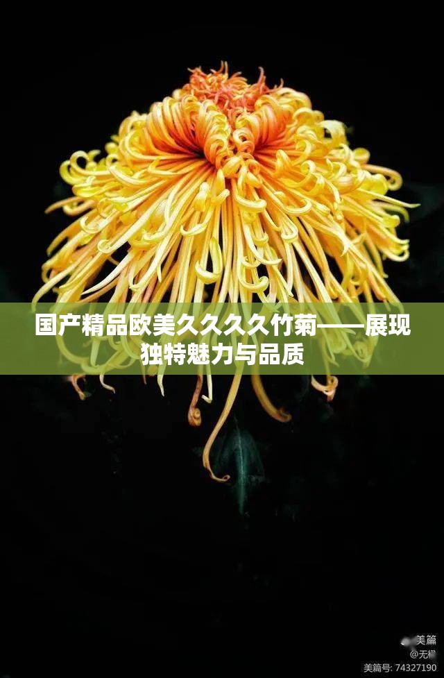 国产精品欧美久久久久竹菊——展现独特魅力与品质