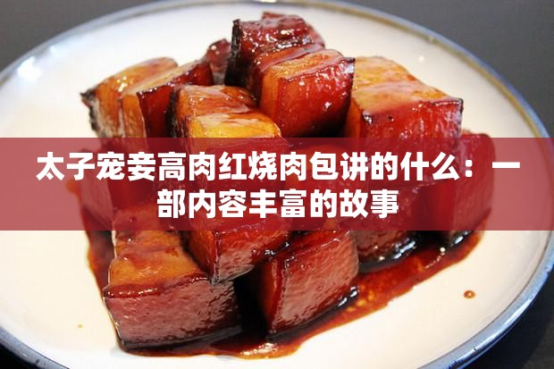 太子宠妾高肉红烧肉包讲的什么：一部内容丰富的故事