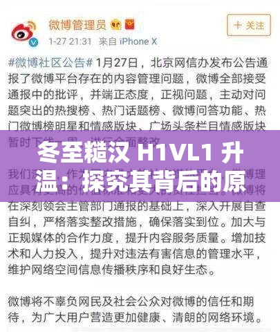 冬至糙汉 H1VL1 升温：探究其背后的原因及影响