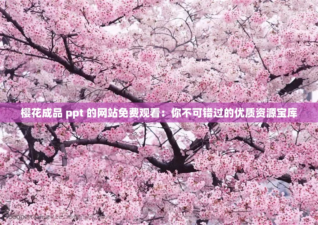 樱花成品 ppt 的网站免费观看：你不可错过的优质资源宝库