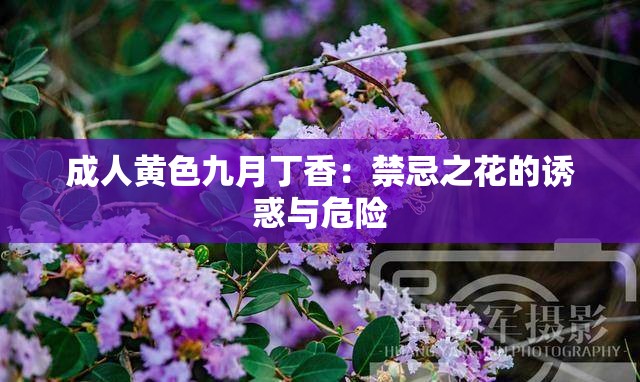 成人黄色九月丁香：禁忌之花的诱惑与危险