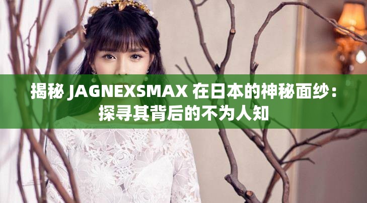 揭秘 JAGNEXSMAX 在日本的神秘面纱：探寻其背后的不为人知