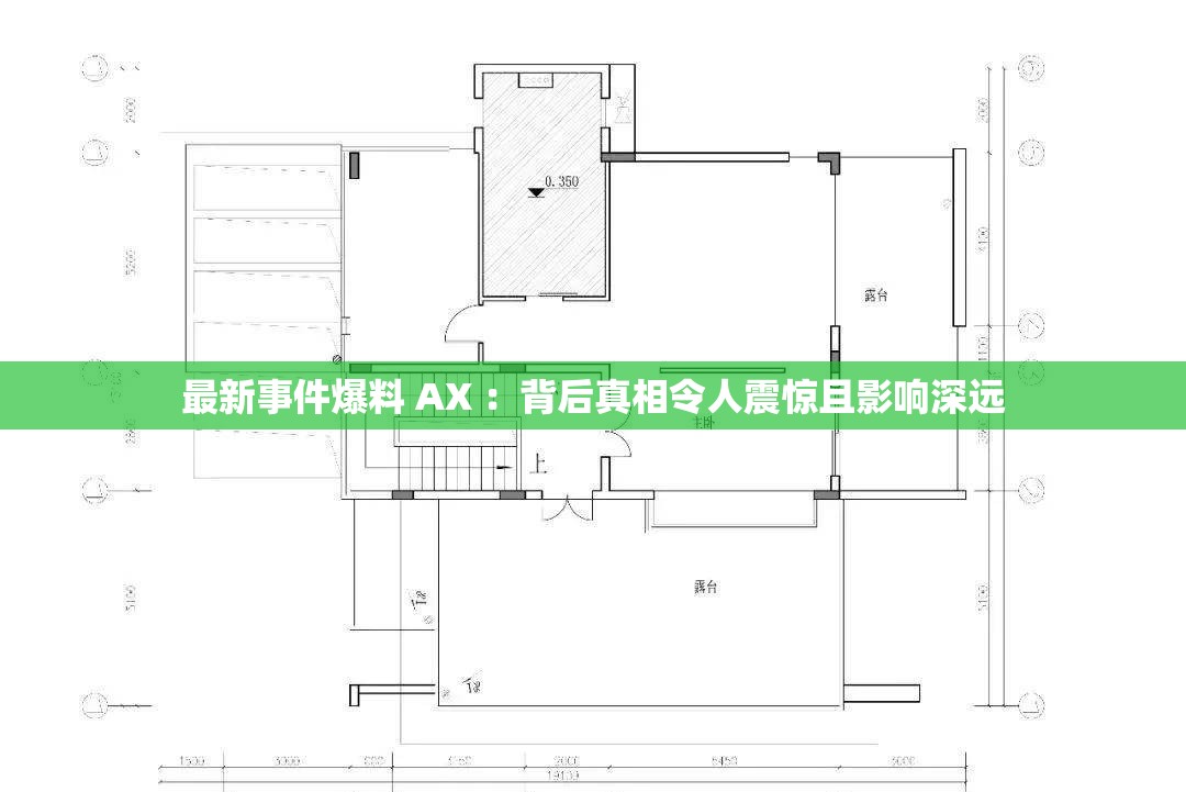 最新事件爆料 AX ：背后真相令人震惊且影响深远