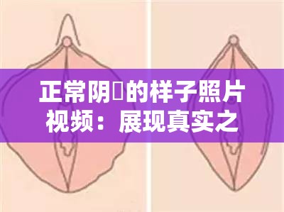 正常阴脣的样子照片视频：展现真实之美