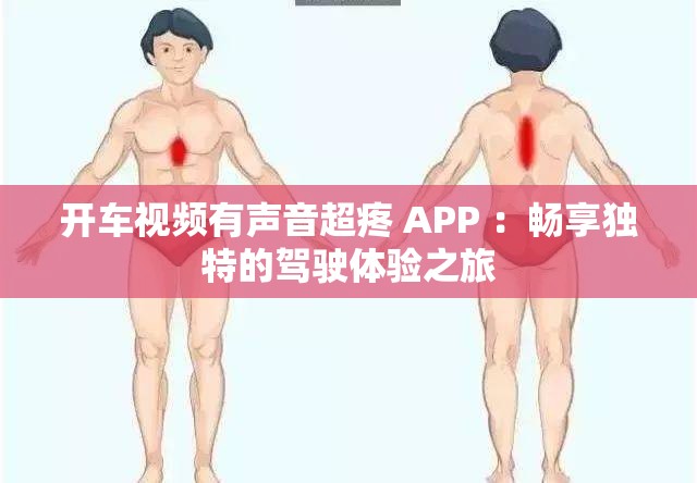 开车视频有声音超疼 APP ：畅享独特的驾驶体验之旅