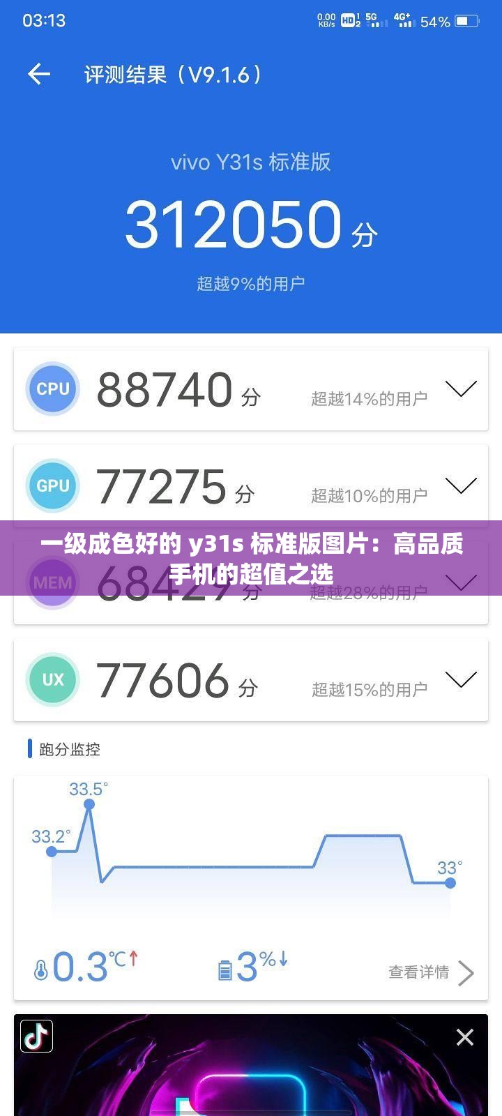 一级成色好的 y31s 标准版图片：高品质手机的超值之选