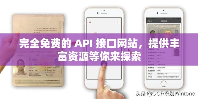 完全免费的 API 接口网站，提供丰富资源等你来探索