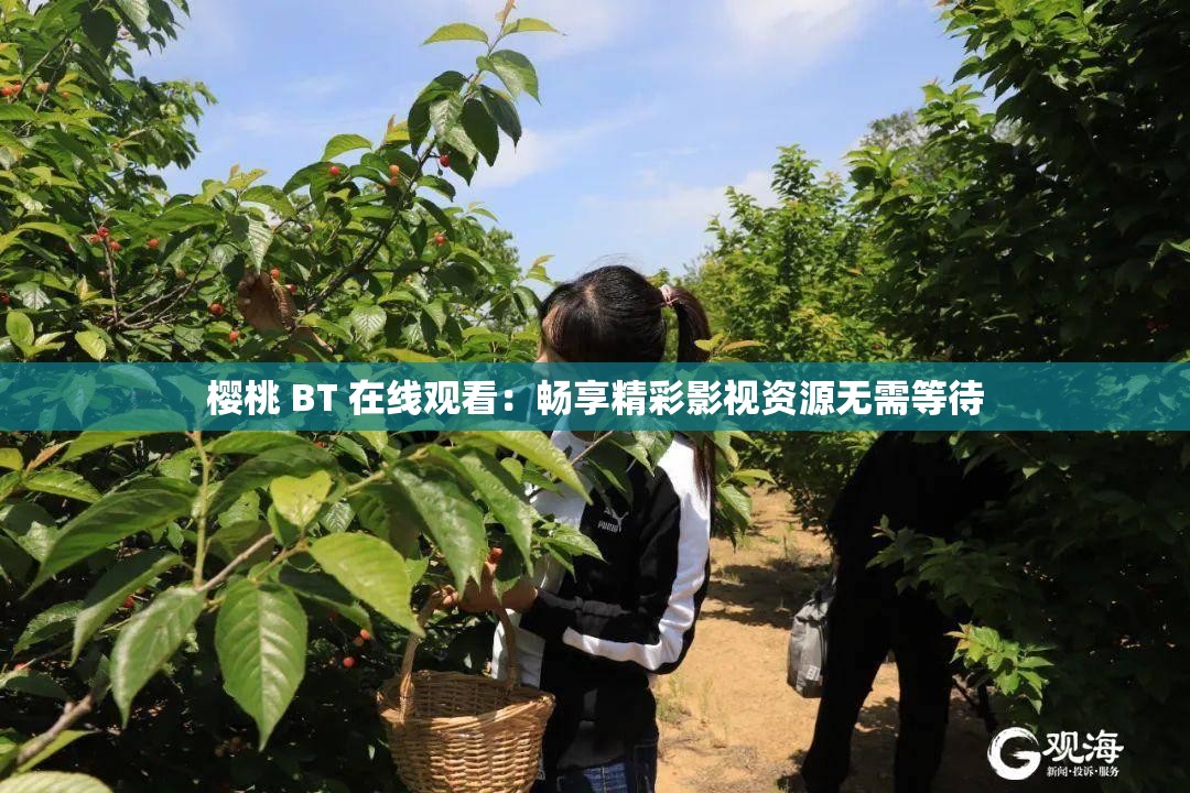 樱桃 BT 在线观看：畅享精彩影视资源无需等待