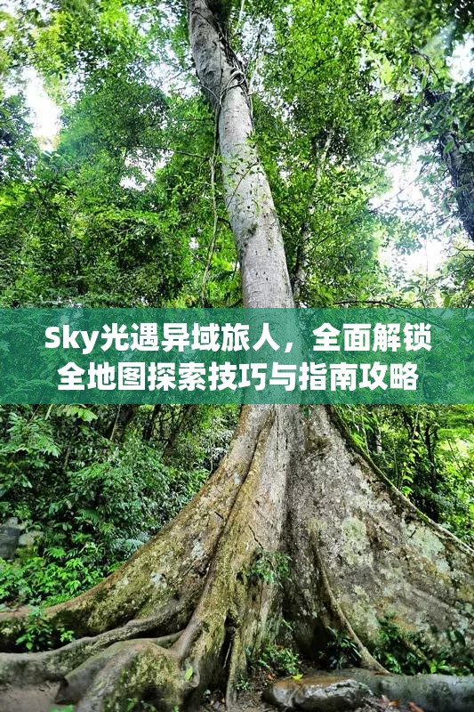 Sky光遇异域旅人，全面解锁全地图探索技巧与指南攻略