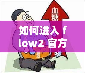 如何进入 flow2 官方网站：官方网站入口及相关信息