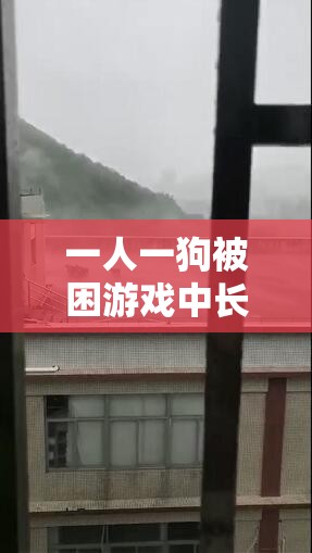 一人一狗被困游戏中长达六小时的奇妙经历