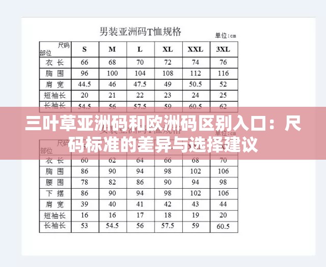 三叶草亚洲码和欧洲码区别入口：尺码标准的差异与选择建议