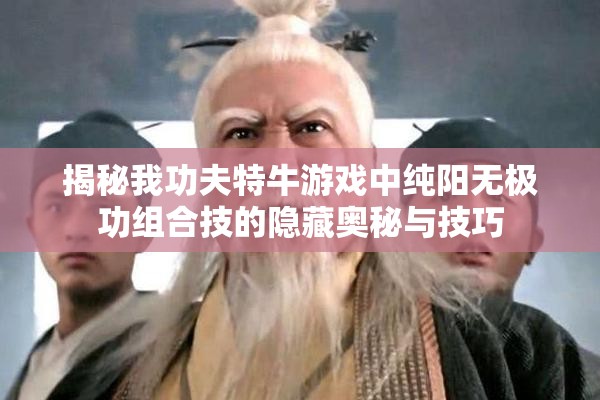 揭秘我功夫特牛游戏中纯阳无极功组合技的隐藏奥秘与技巧