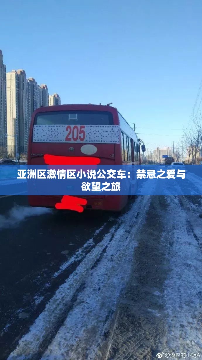 亚洲区激情区小说公交车：禁忌之爱与欲望之旅