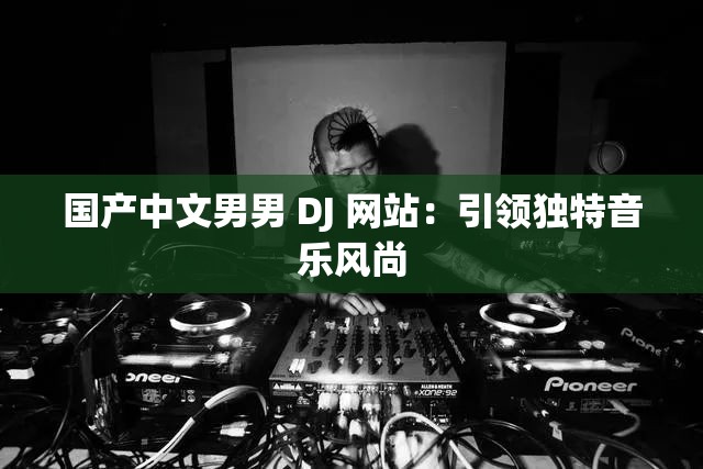 国产中文男男 DJ 网站：引领独特音乐风尚