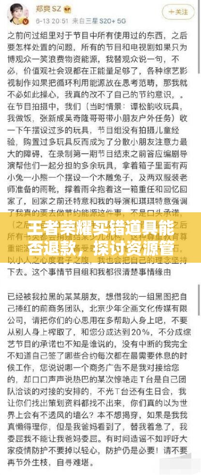 王者荣耀买错道具能否退款，探讨资源管理、高效利用策略以避免浪费