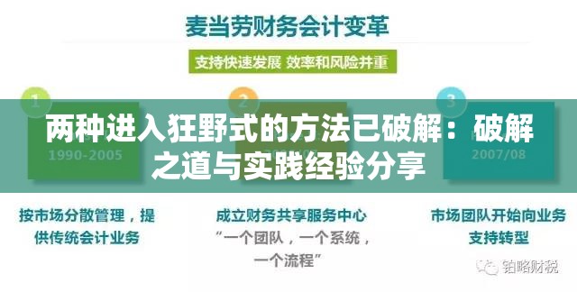 两种进入狂野式的方法已破解：破解之道与实践经验分享