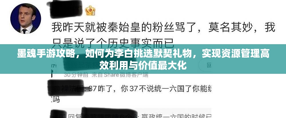 墨魂手游攻略，如何为李白挑选默契礼物，实现资源管理高效利用与价值最大化